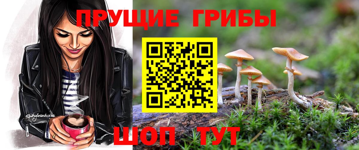 Кимовск  магазин продажи наркотиков  Вход с VPN  Галлюциногенные грибы MAGIC MUSHROOMS  Галлюциногенные грибы Psilocybine cubensis 