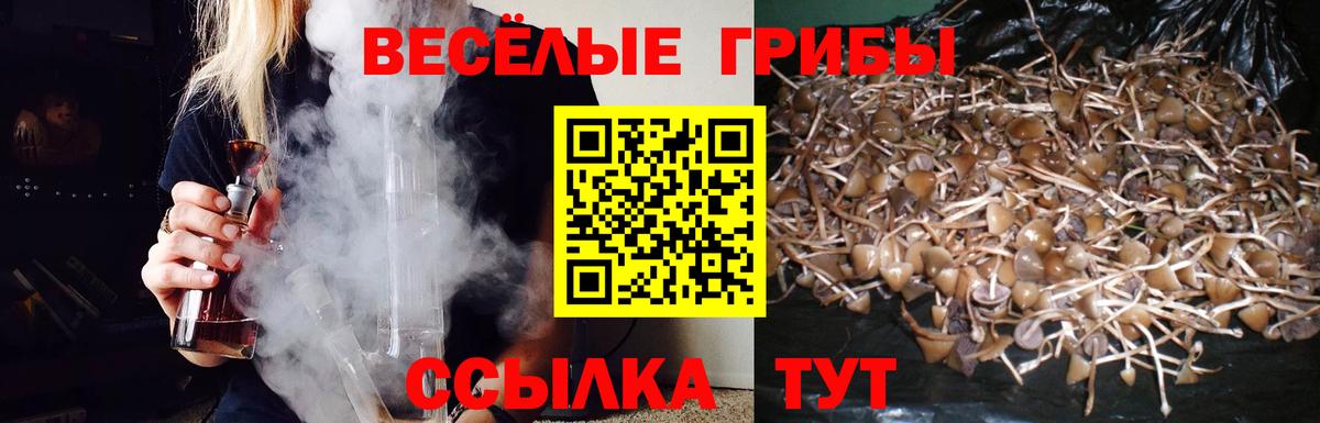 Псилоцибиновые грибы GOLDEN TEACHER Кимовск